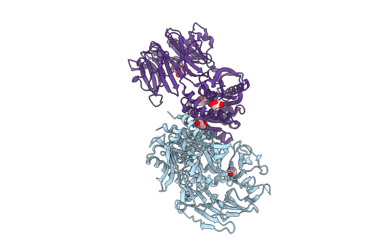 3O4I image