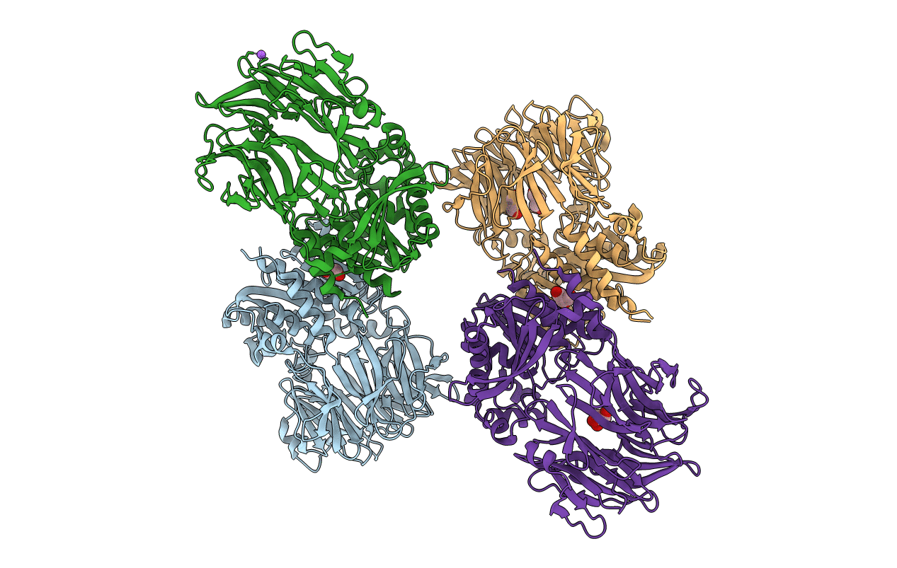3O4J image
