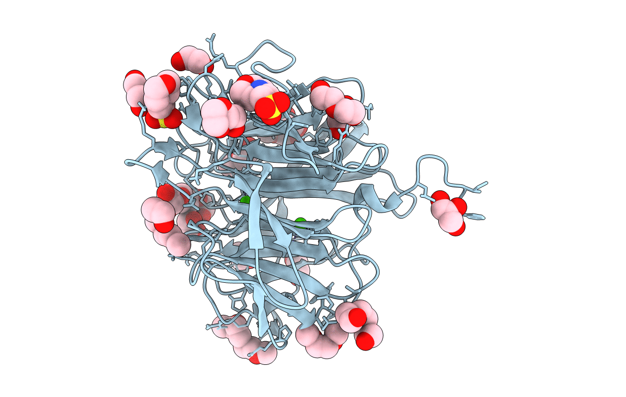3O4P image