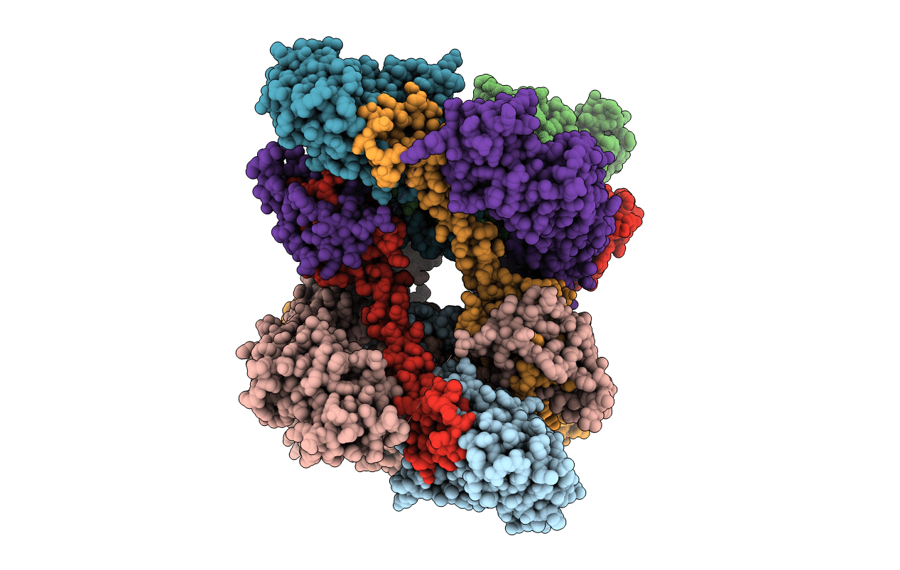 3O4X image