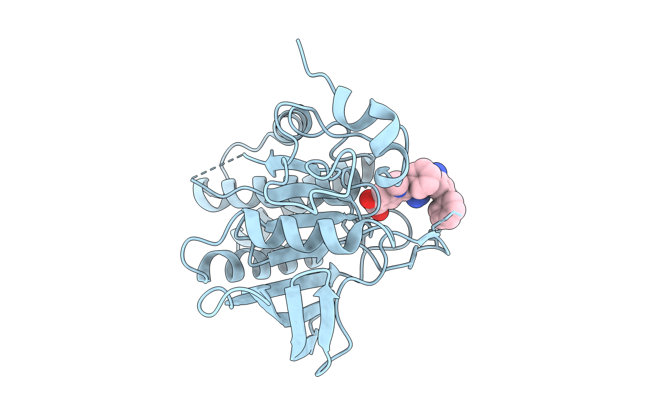 3O5X image