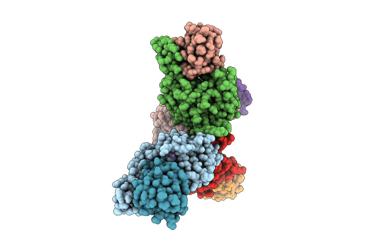 3O65 image