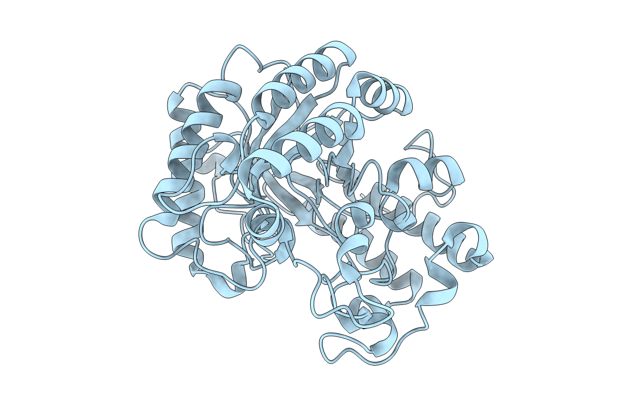3O6A image