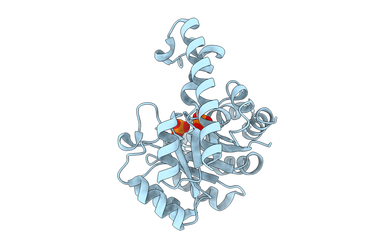 3O6C image
