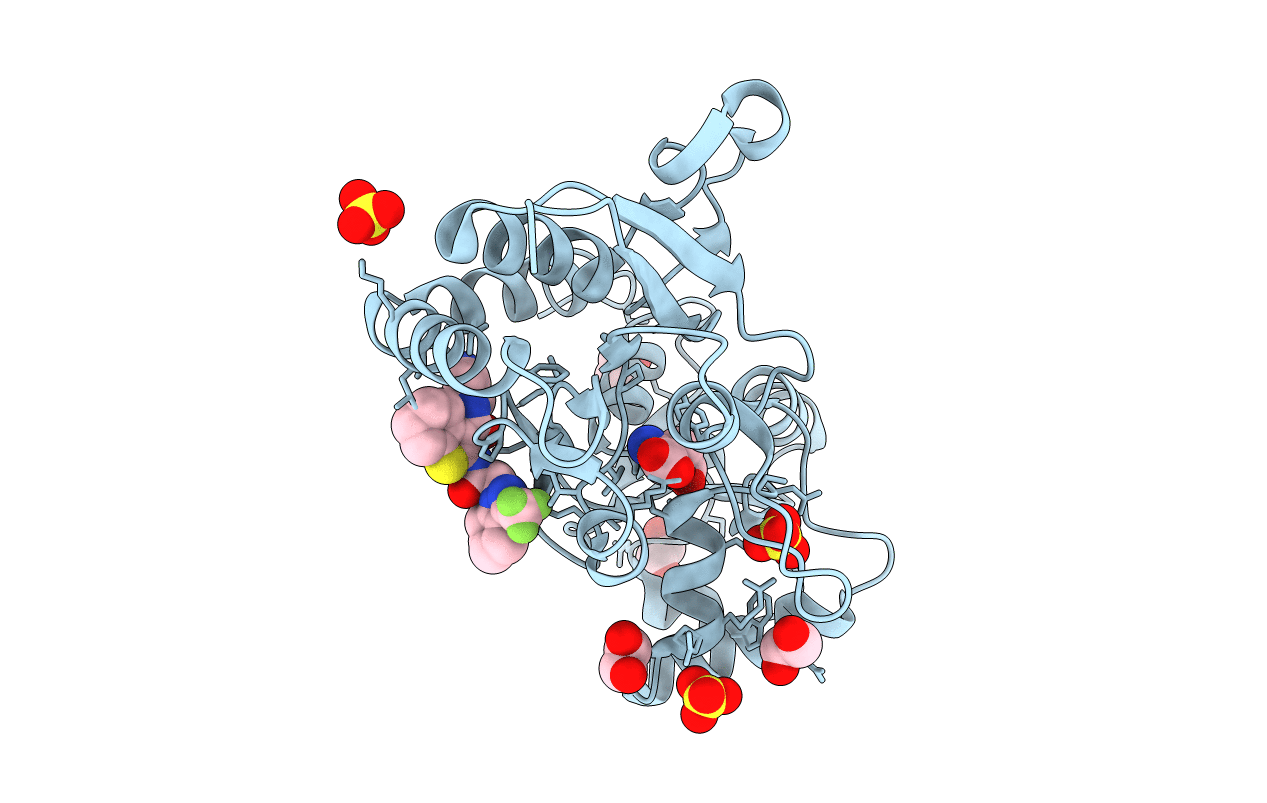 3O6G image