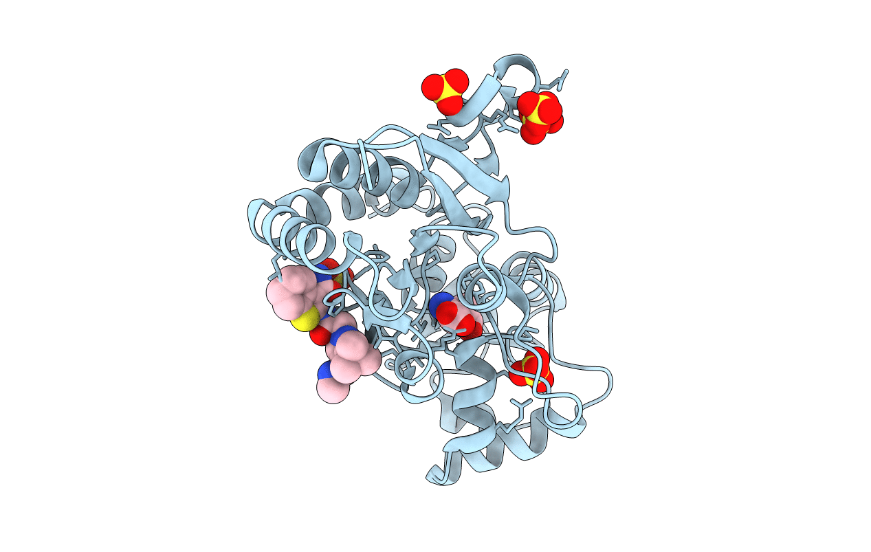 3O6I image