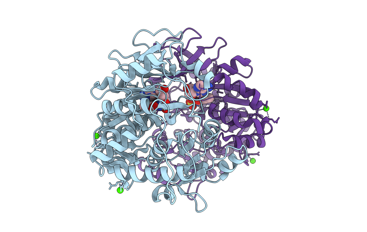 3O82 image