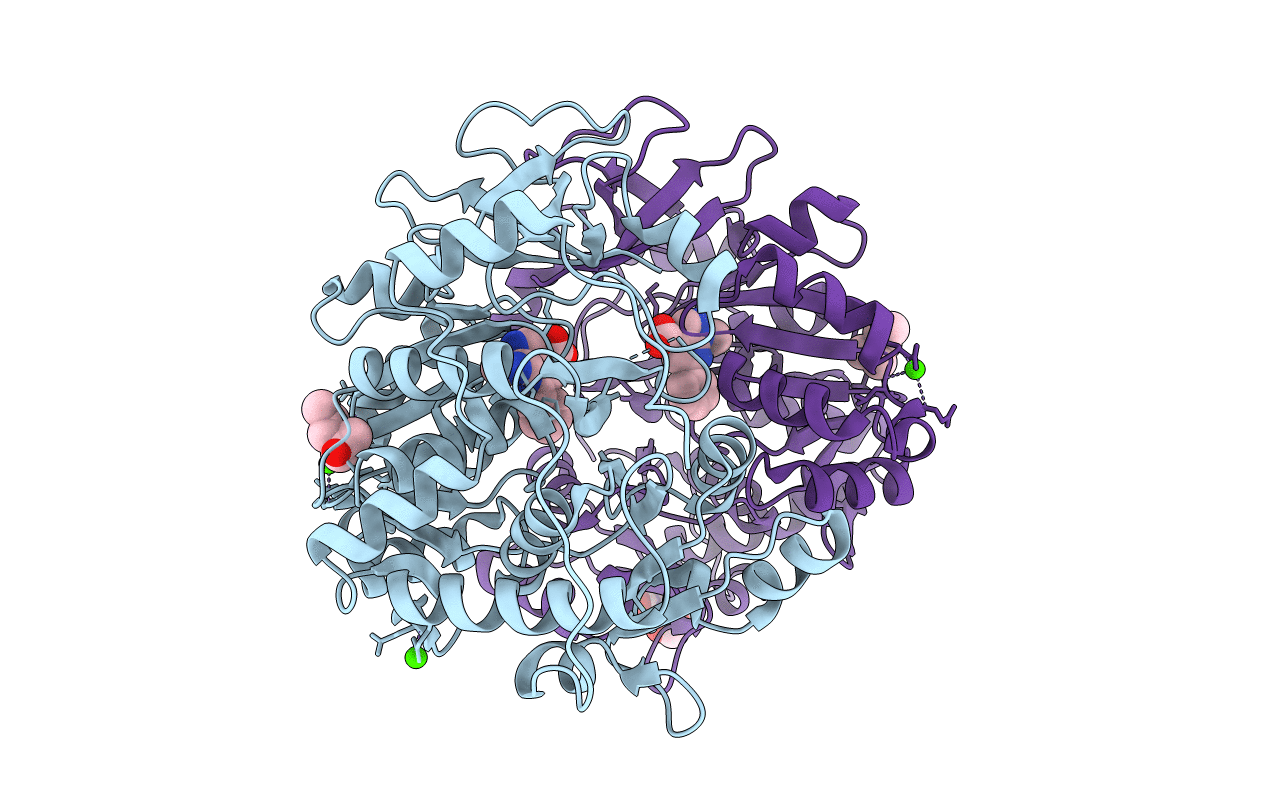 3O84 image