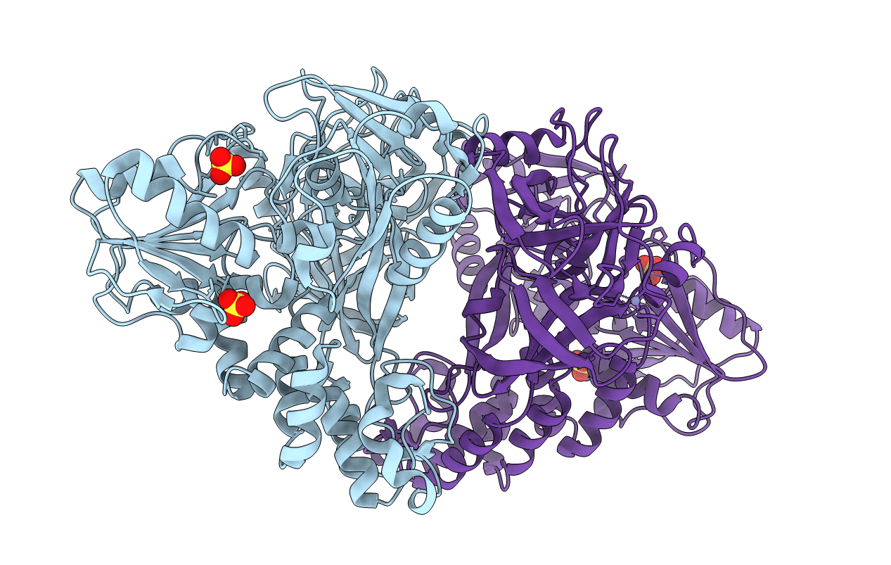 3O8B image