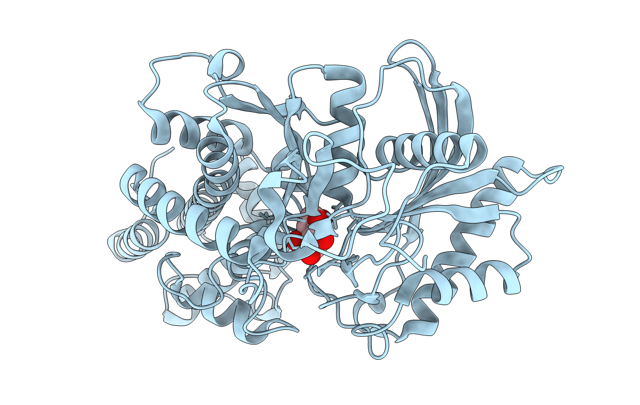 3O8M image