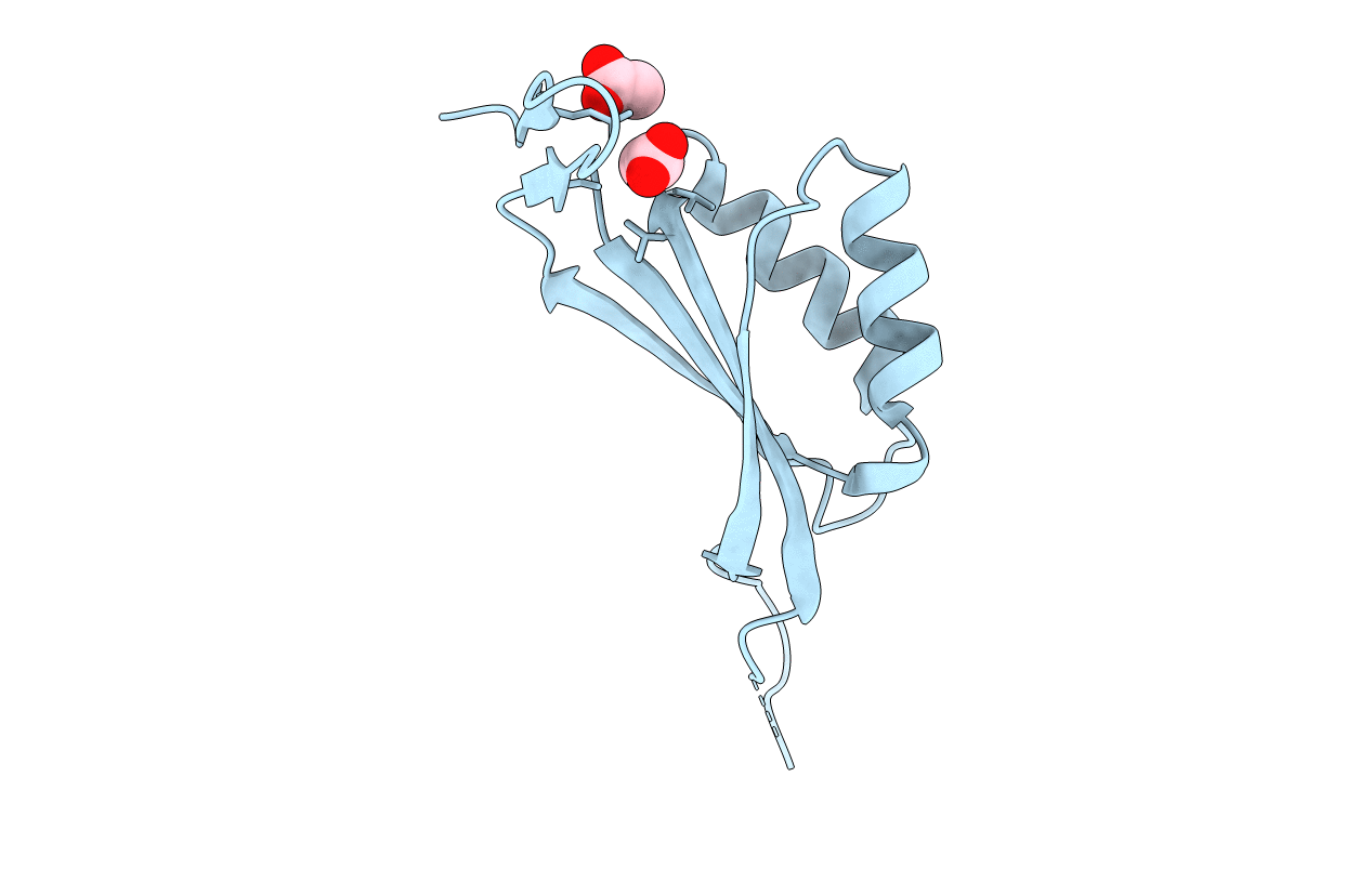 3O8W image