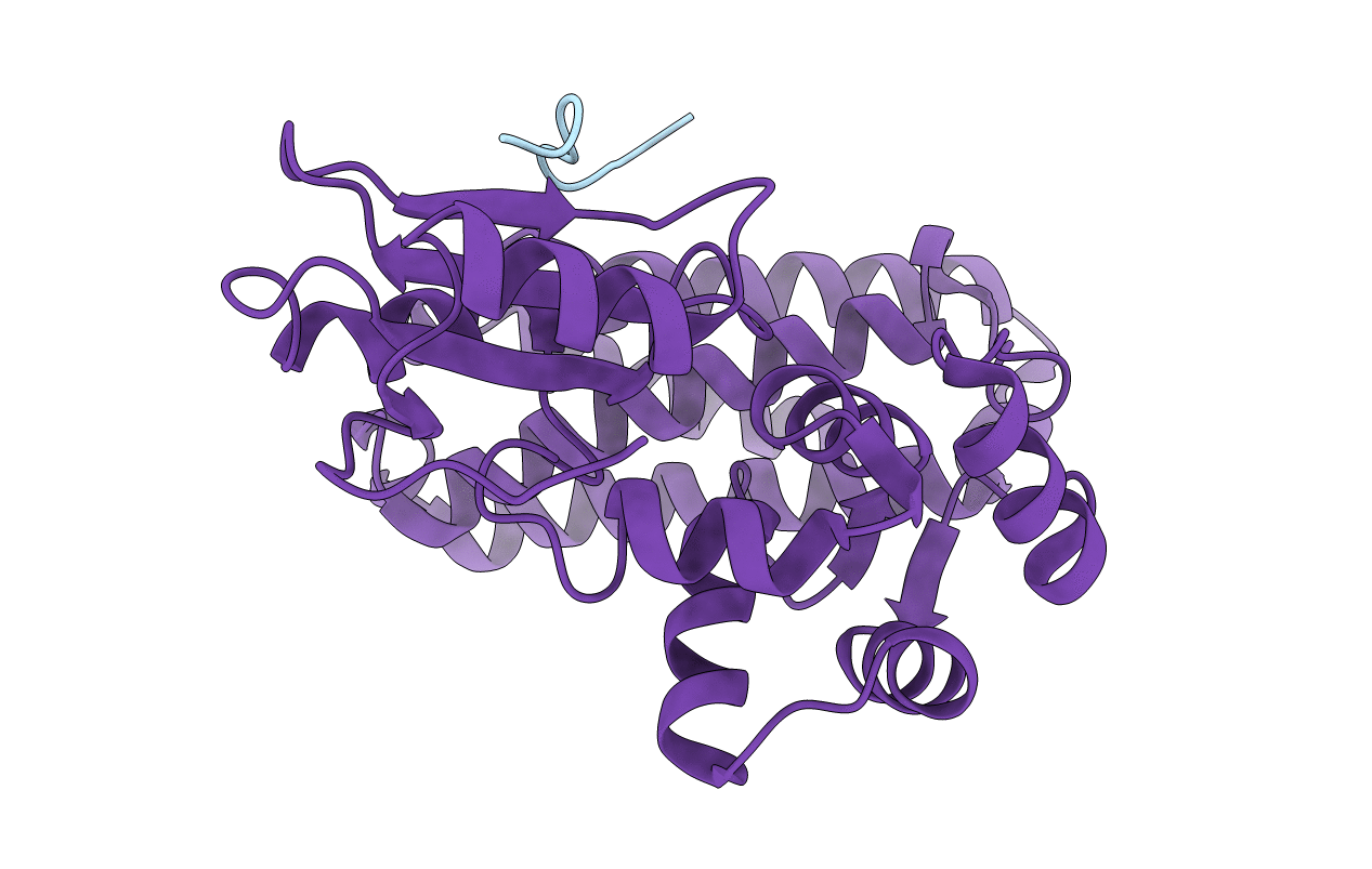 3OB1 image