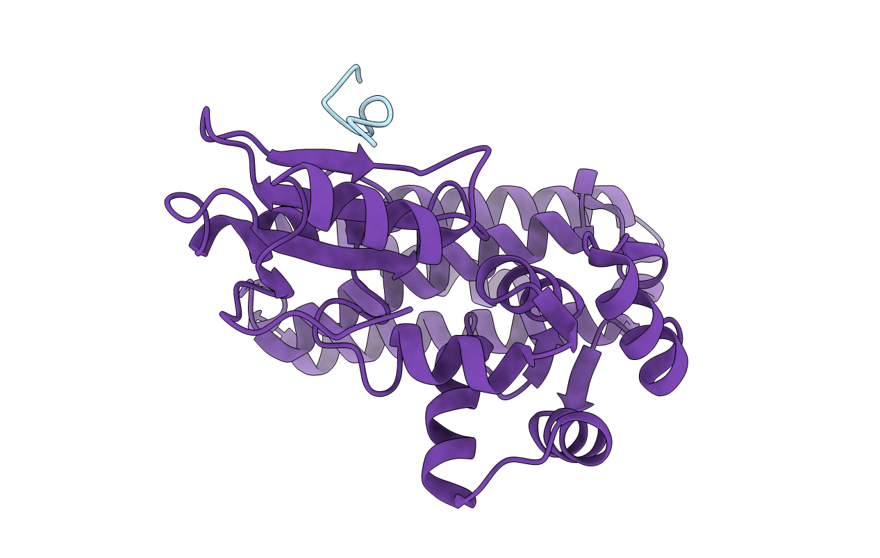 3OB2 image