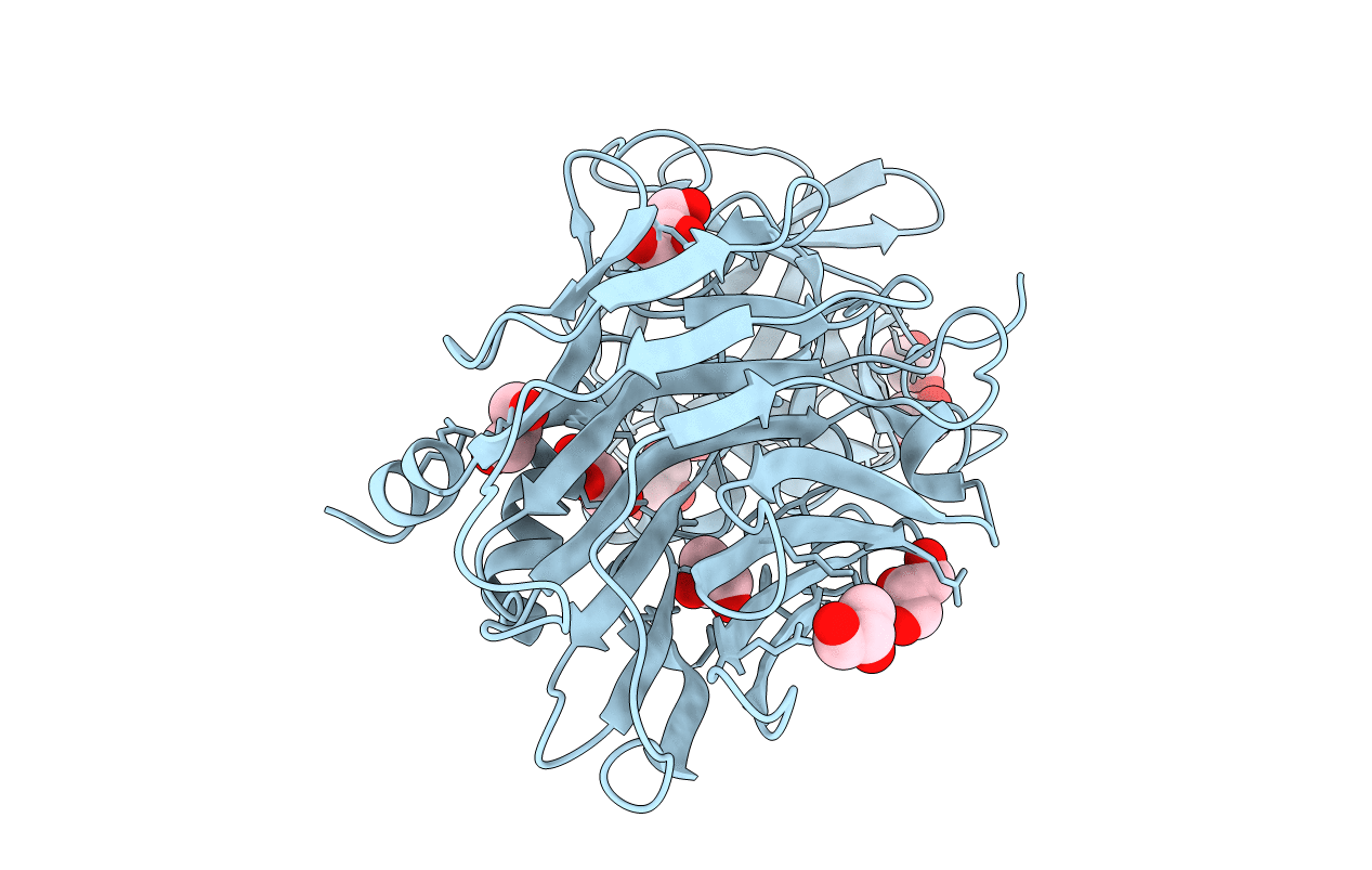 3OBR image