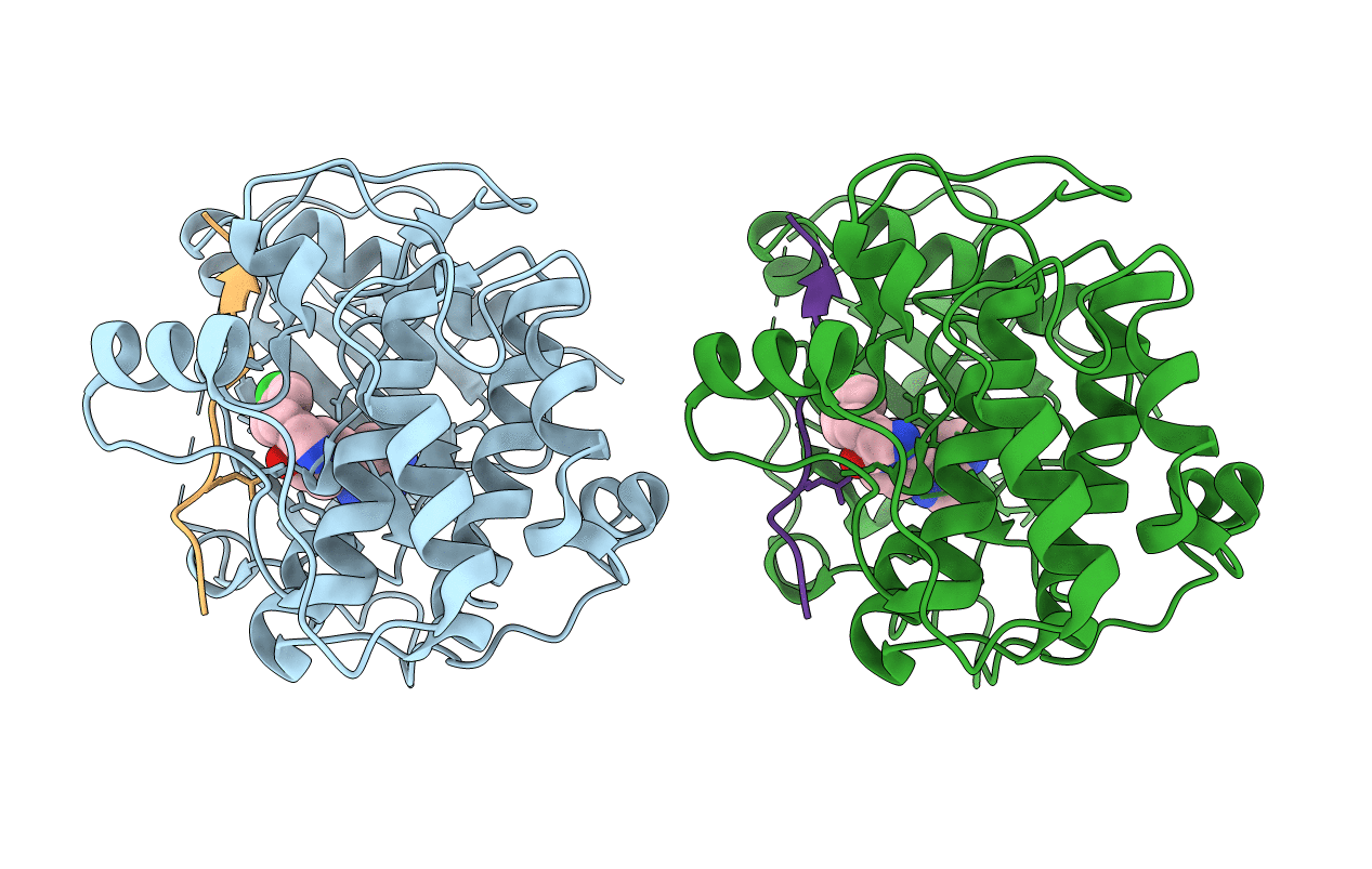 3OCB image