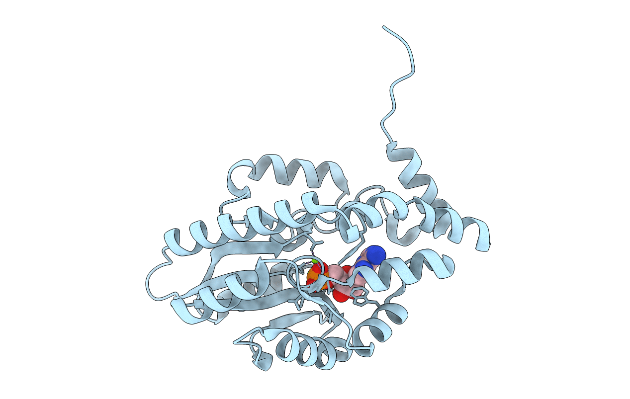 3OCV image