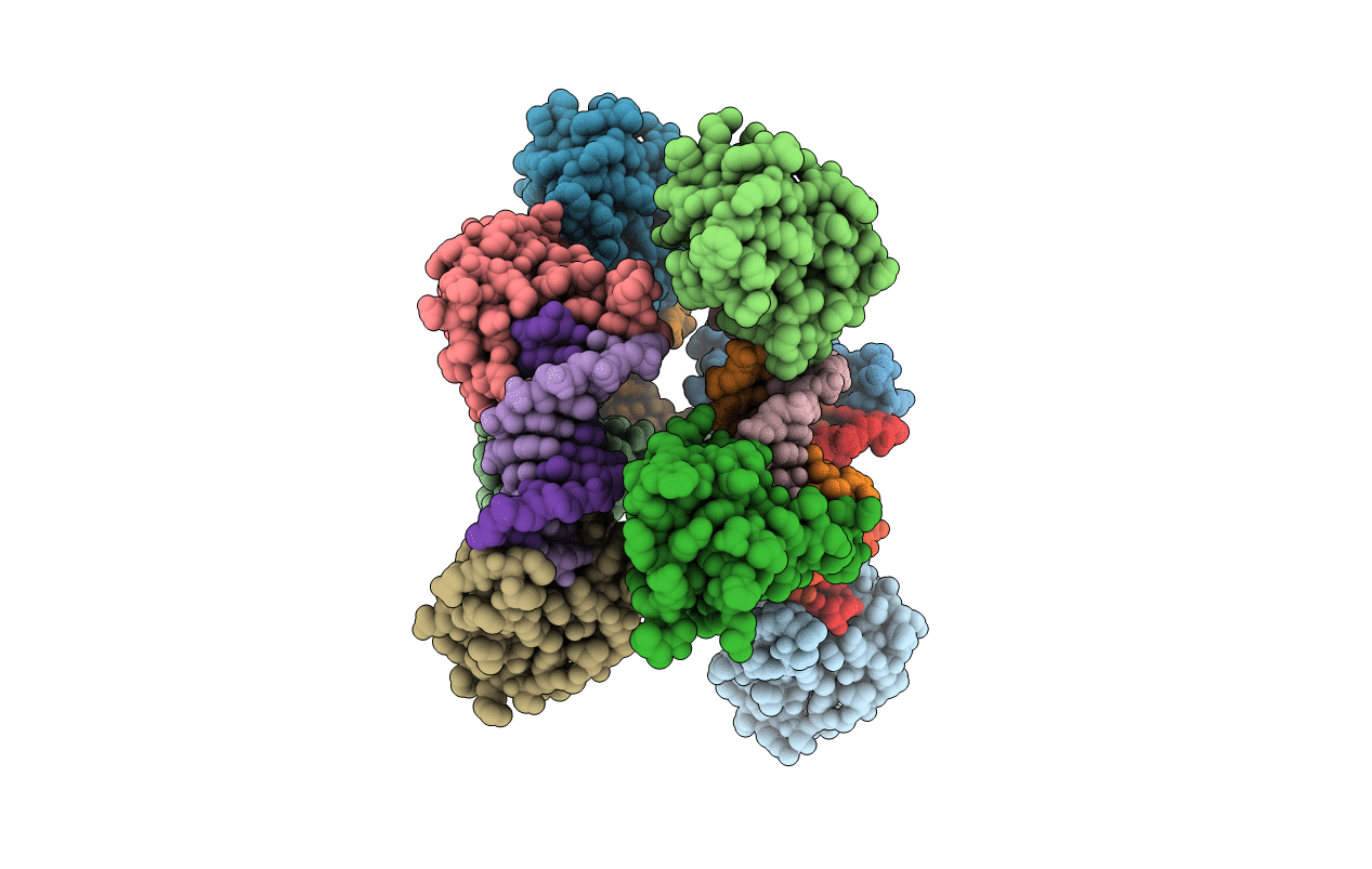 3ODA image