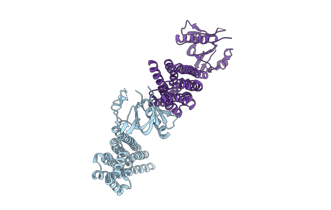 3ODX image