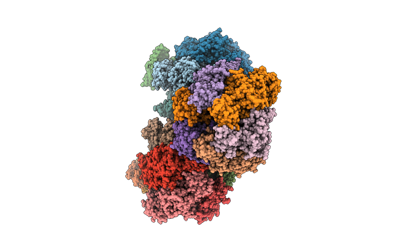 3OFN image