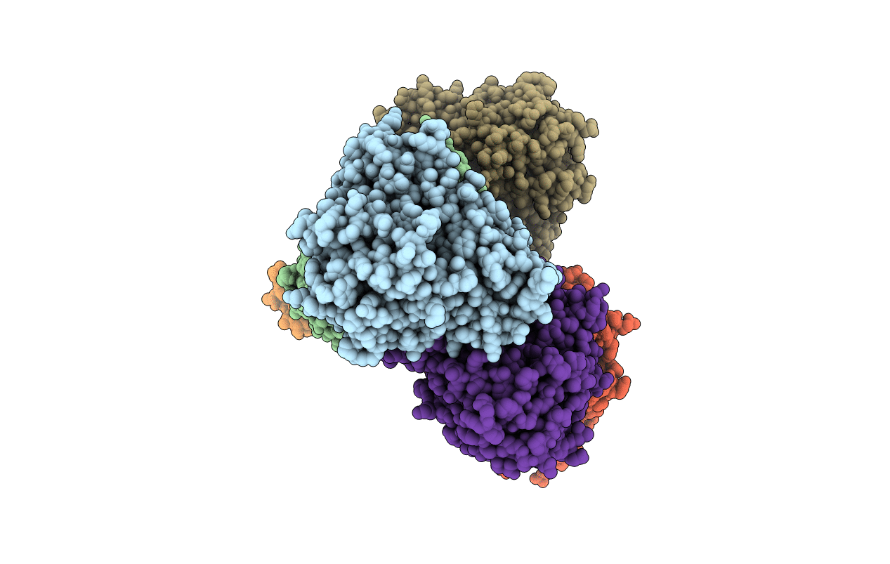 3OFU image