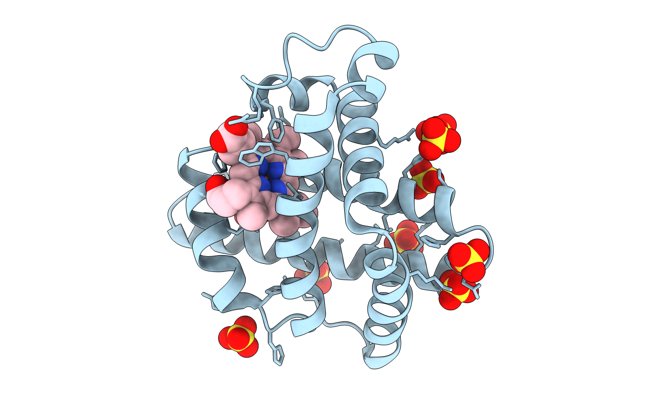 3OGB image