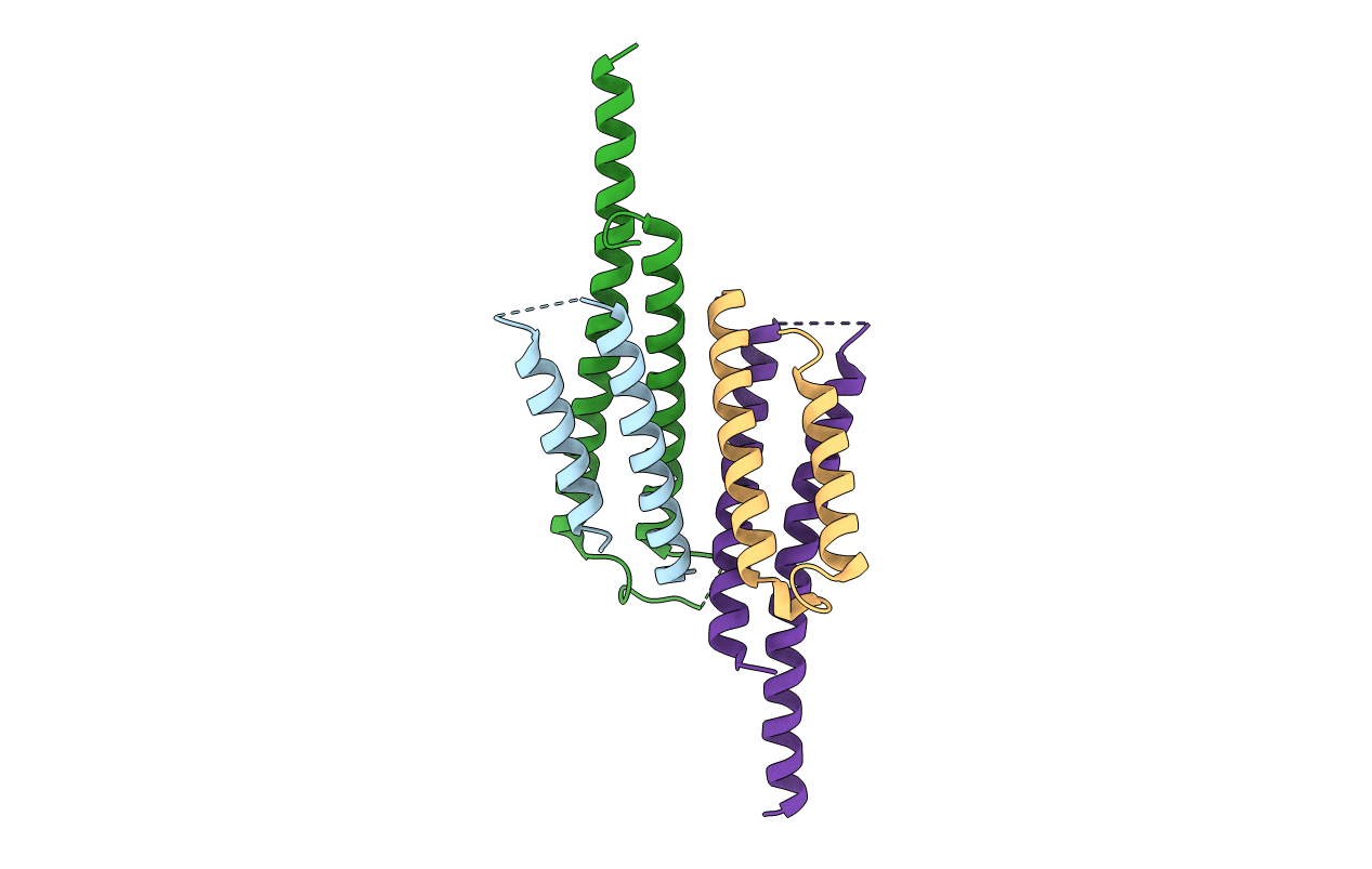 3OGI image