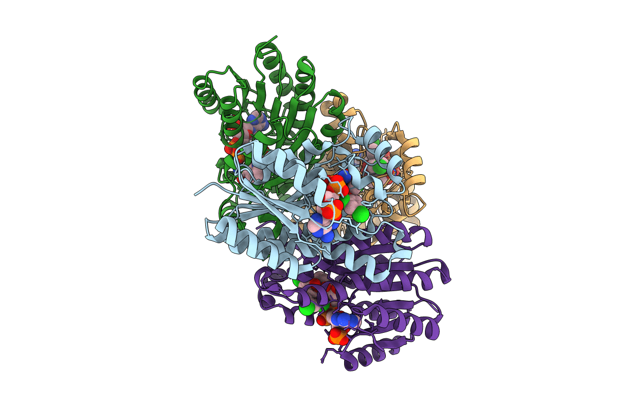 3OID image