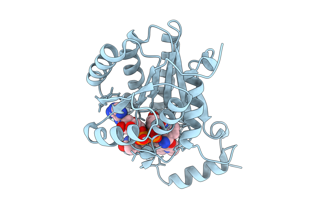 3OIG image
