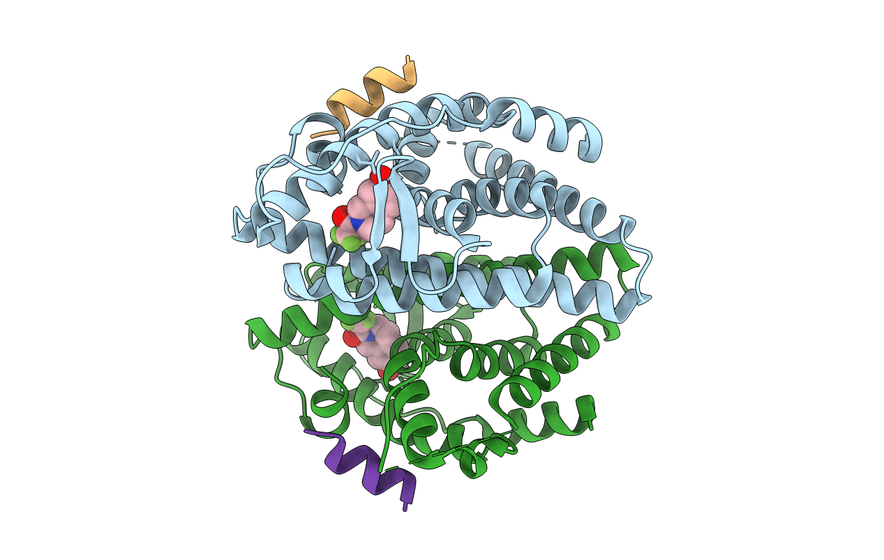 3OMP image