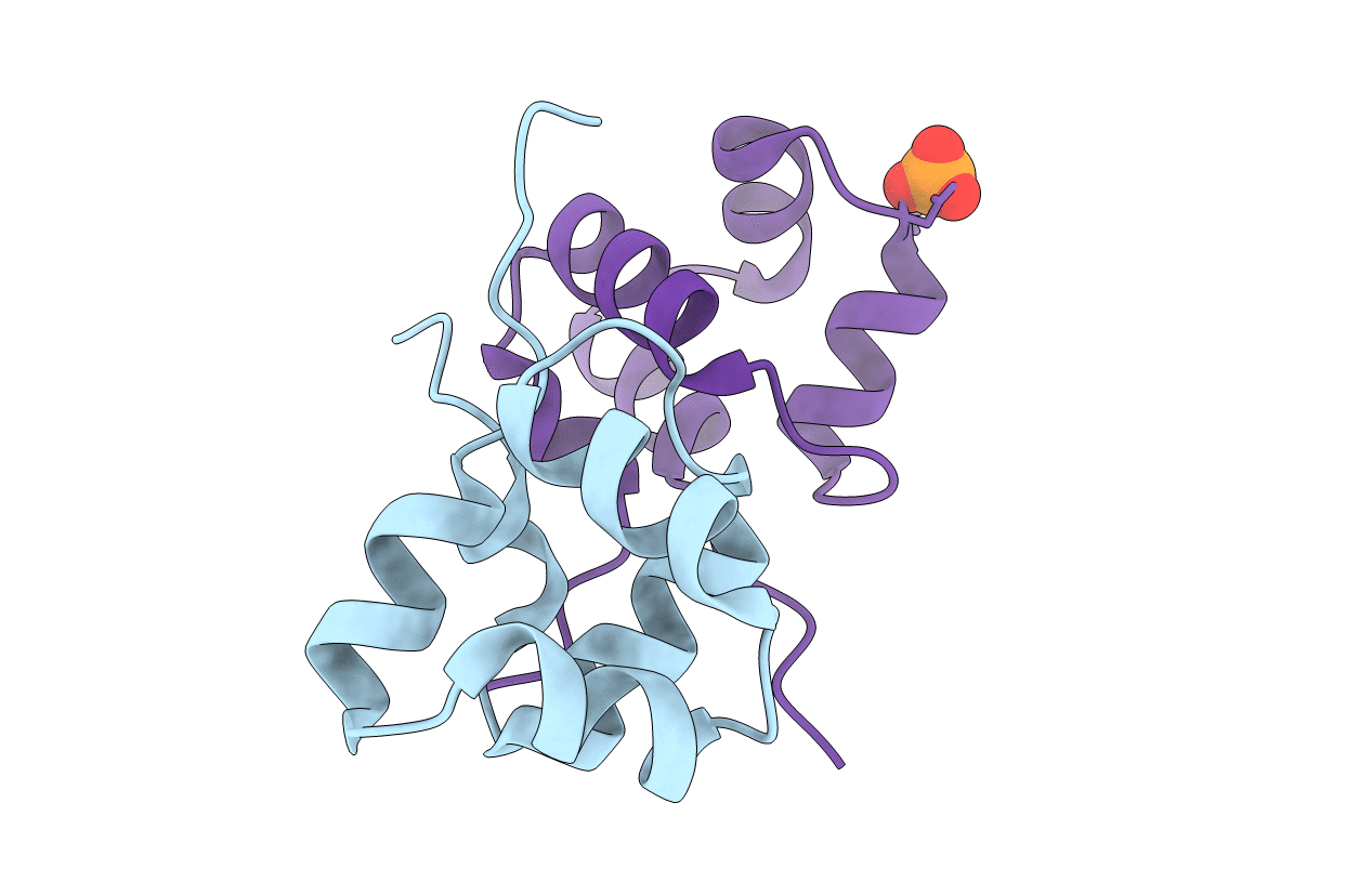3OMT image