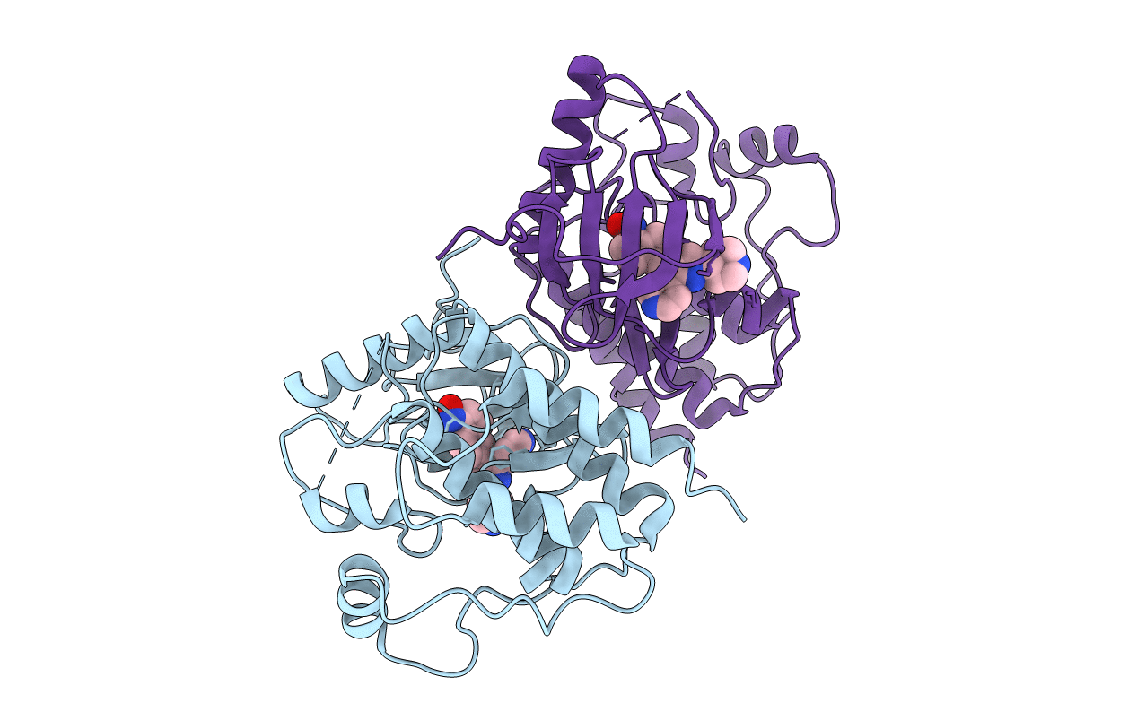 3OMV image