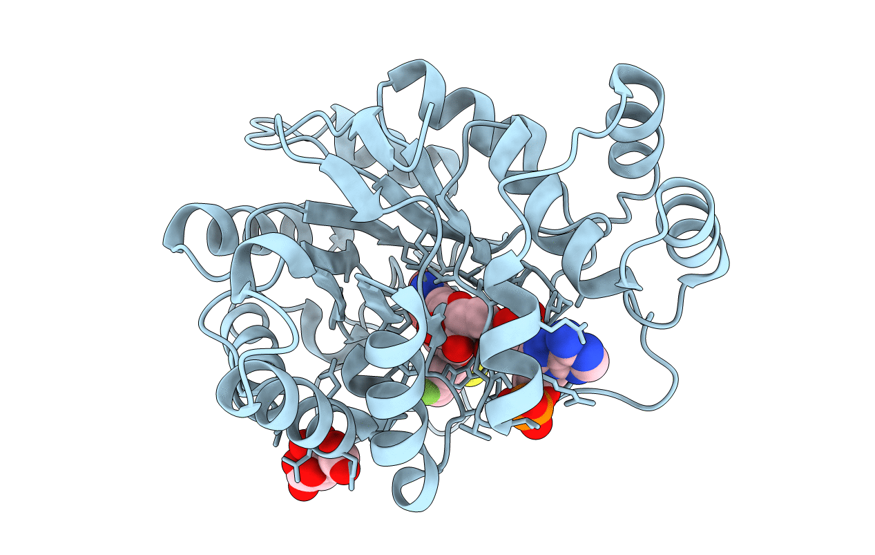3ONC image