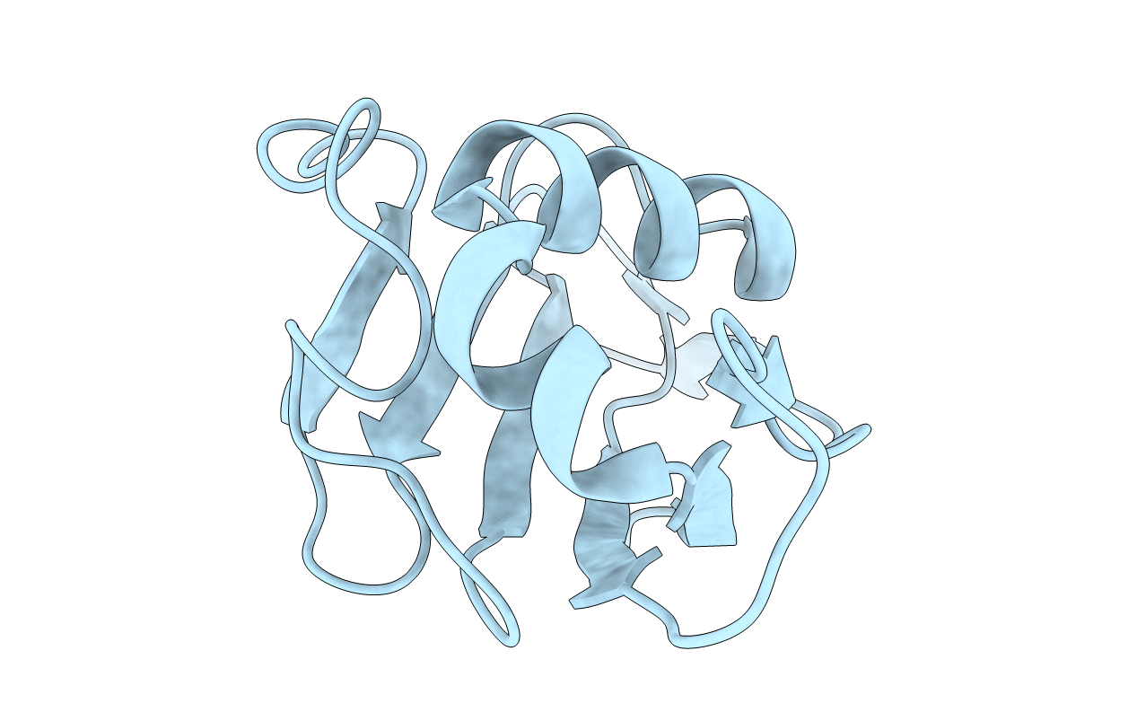 3ONH image