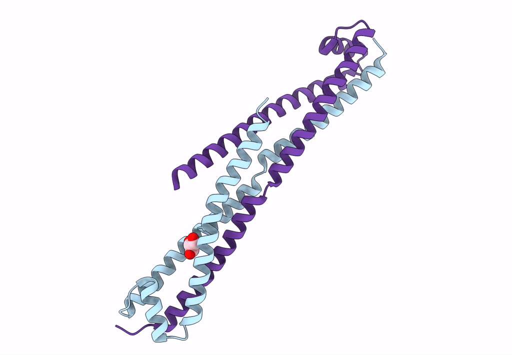3OPC image