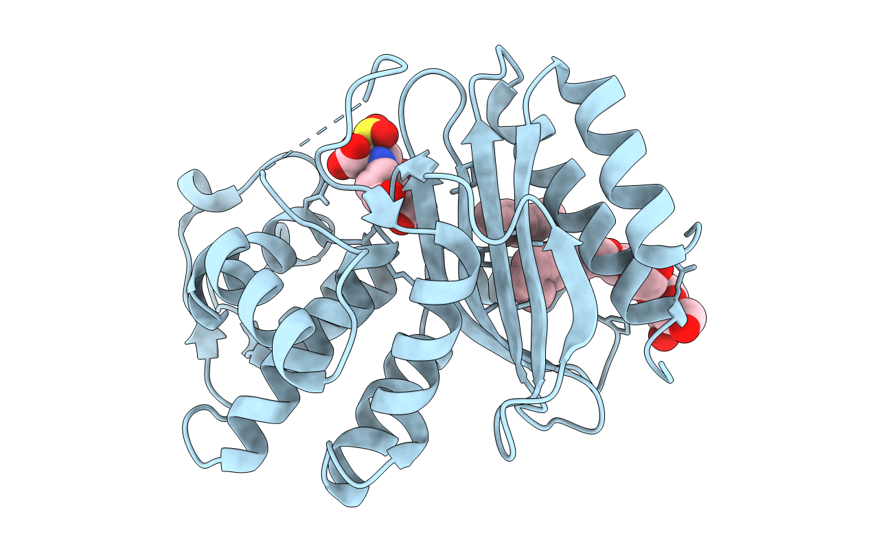 3OPR image