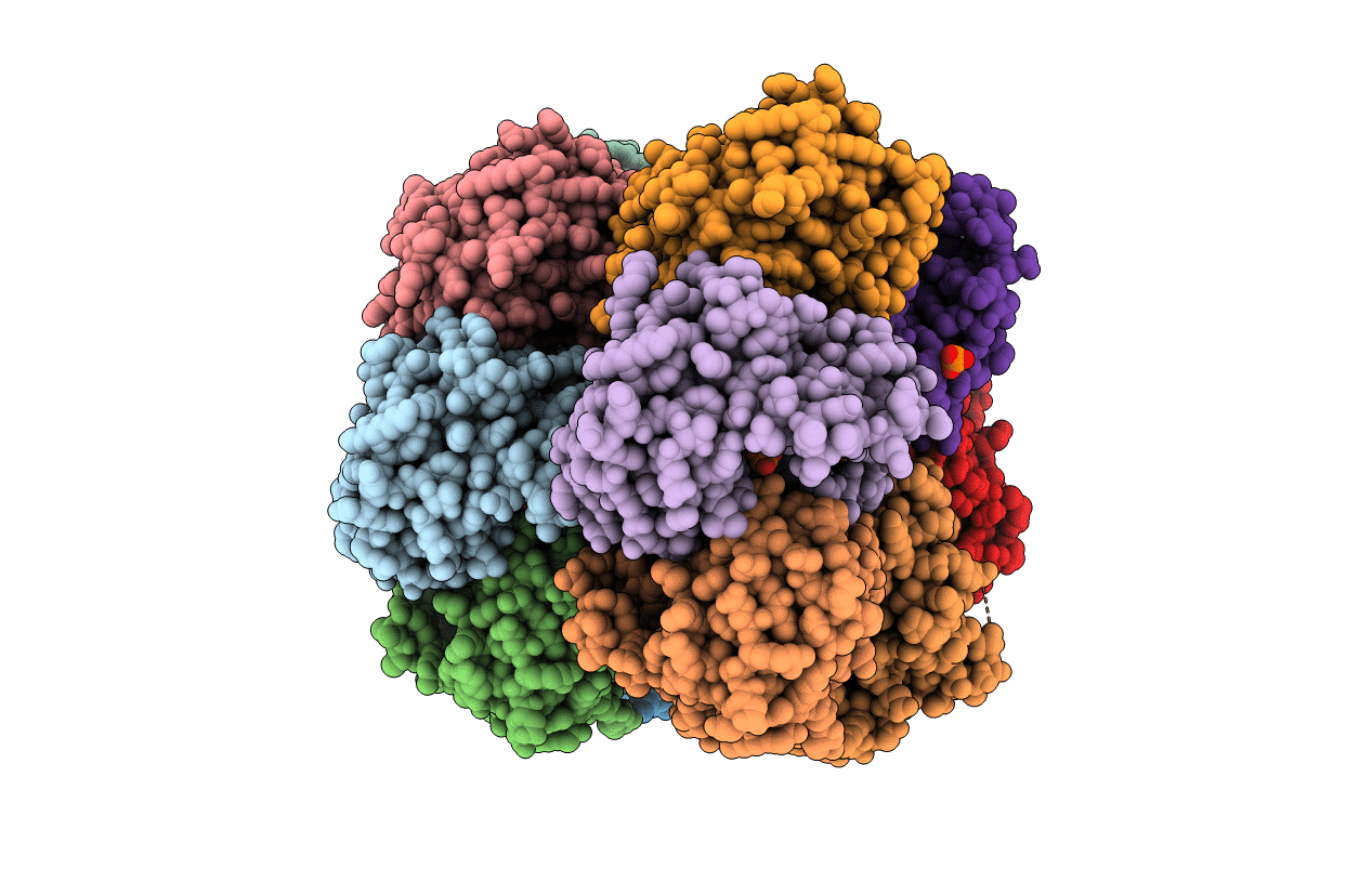 3OPV image