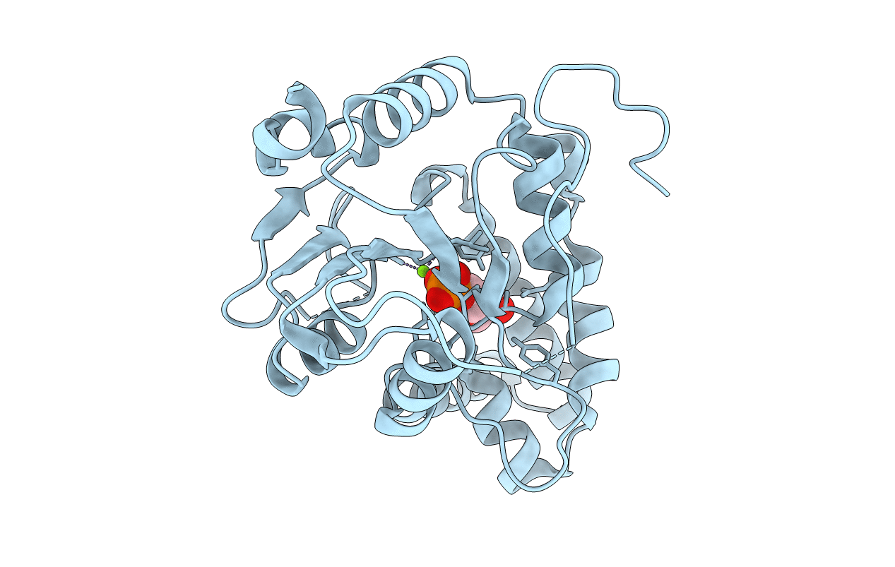3OPX image