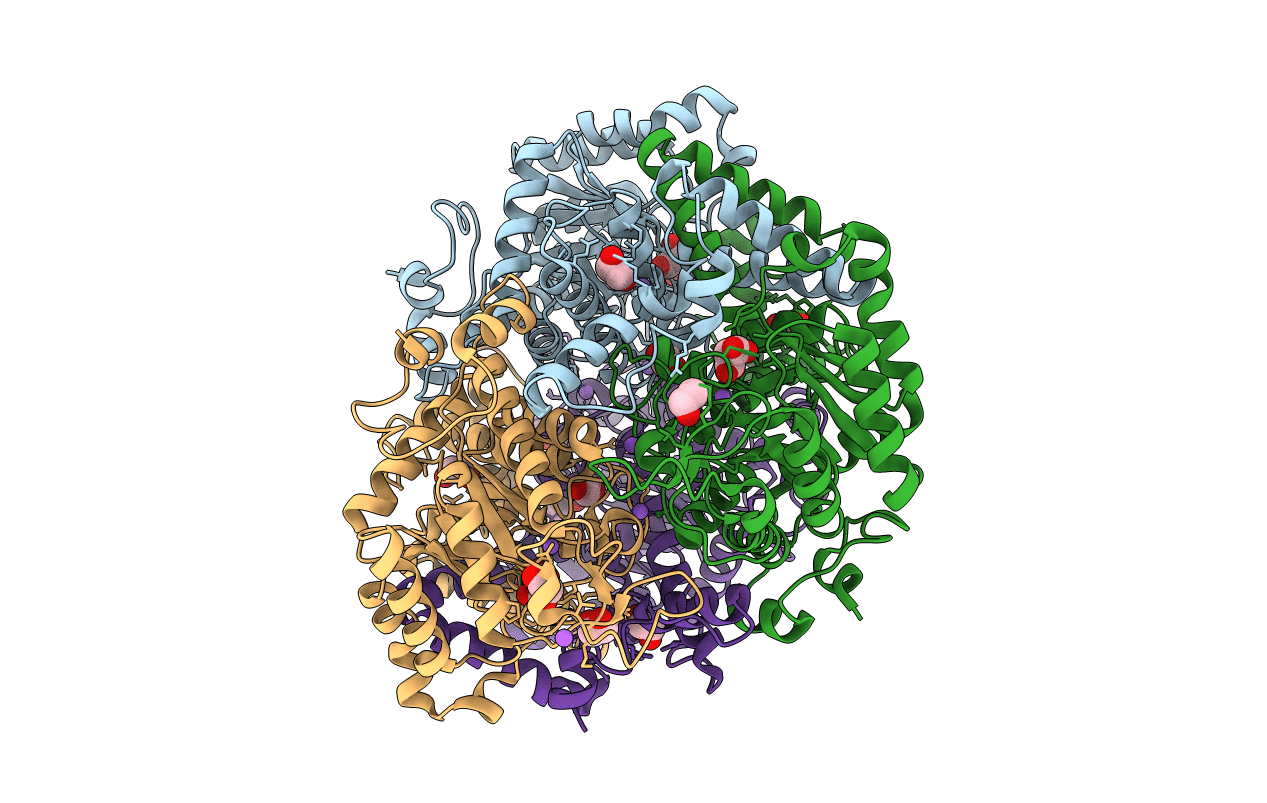 3OQ8 image