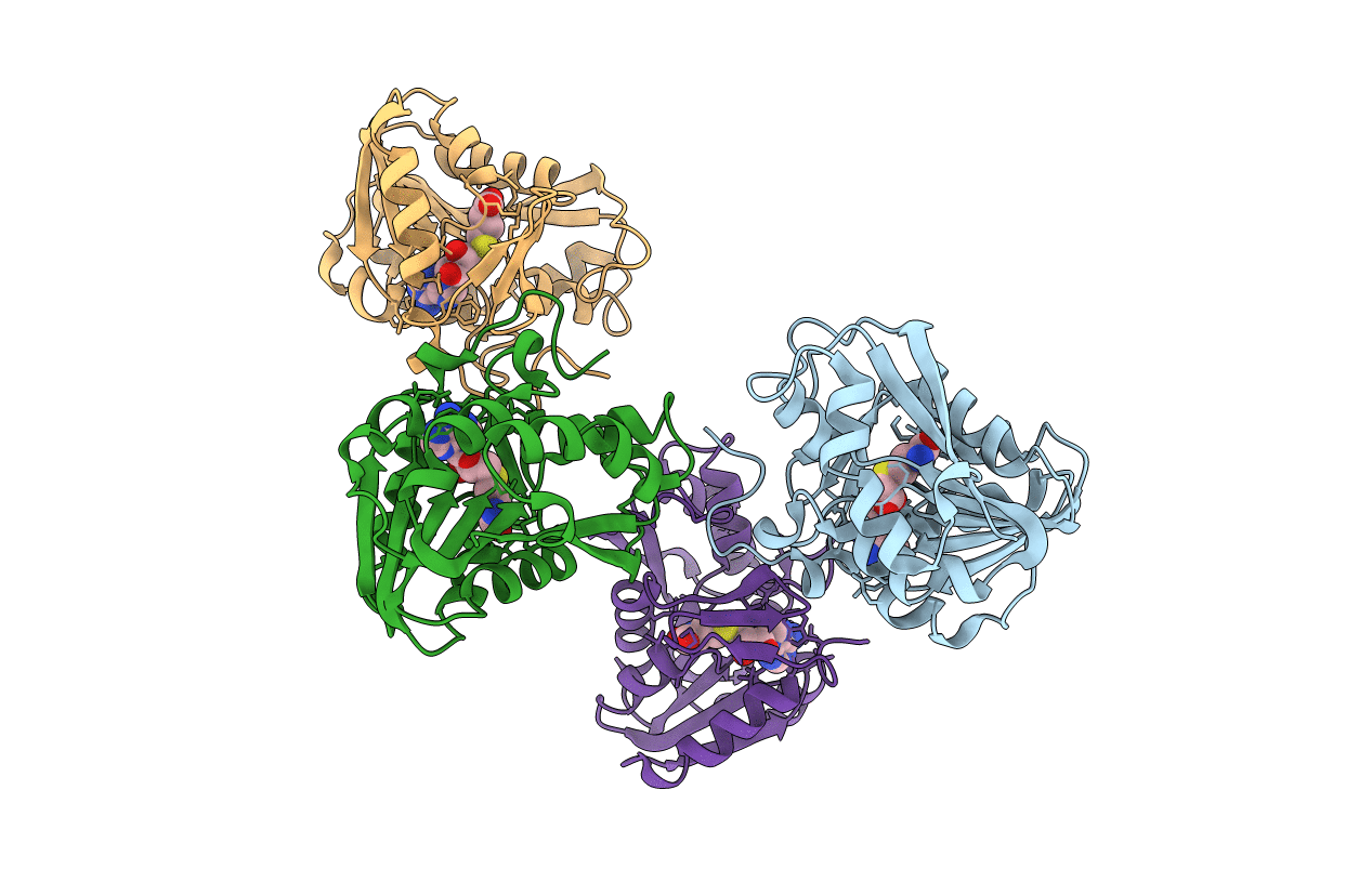 3ORH image