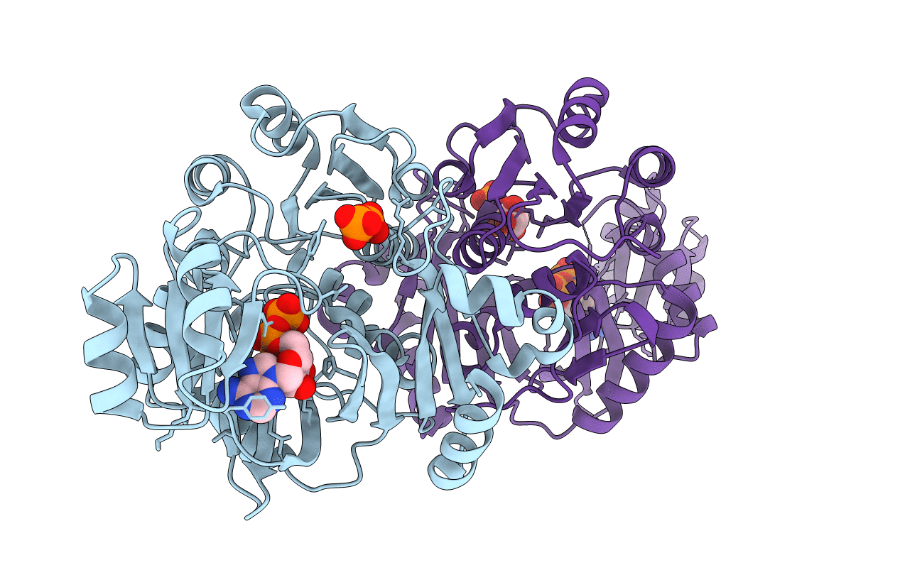 3ORQ image