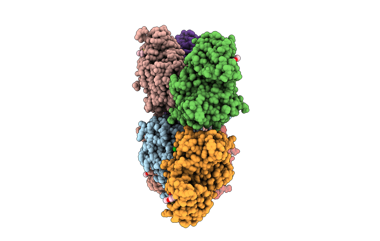 3ORX image