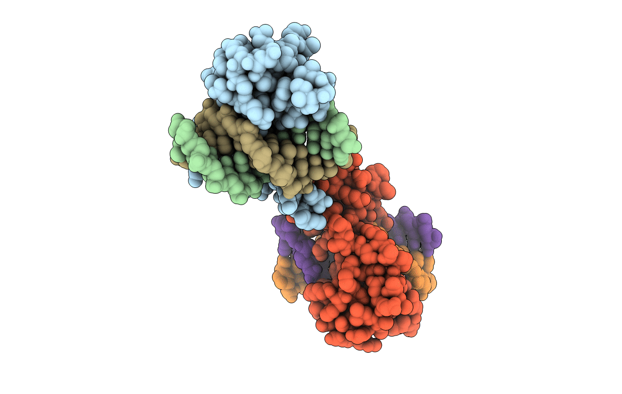 3OSG image