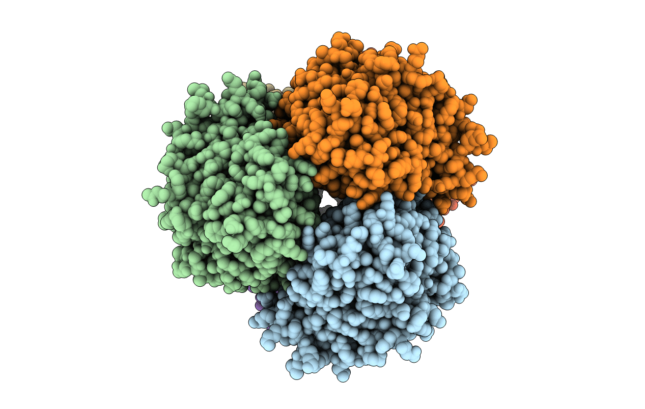 3OVG image