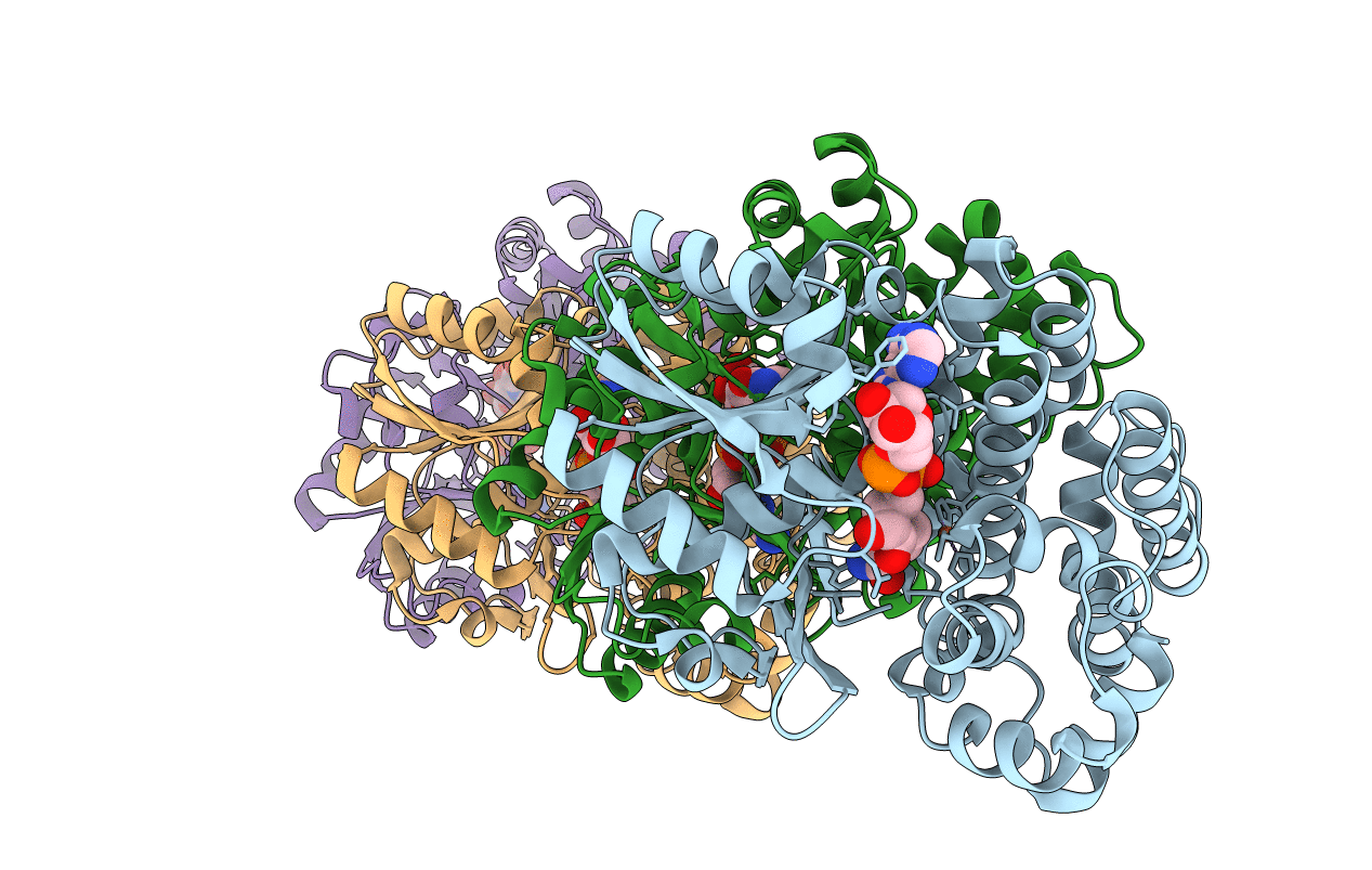 3OX4 image