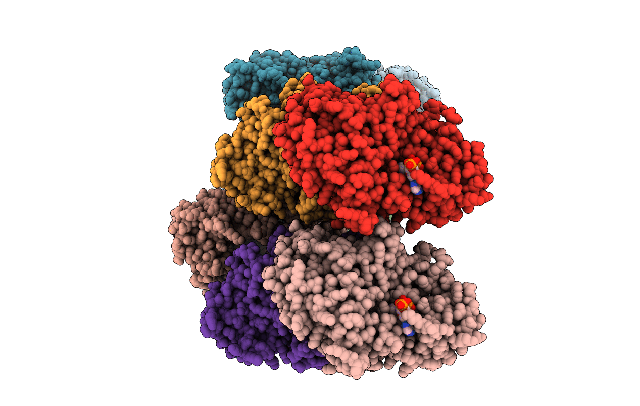 3OXO image