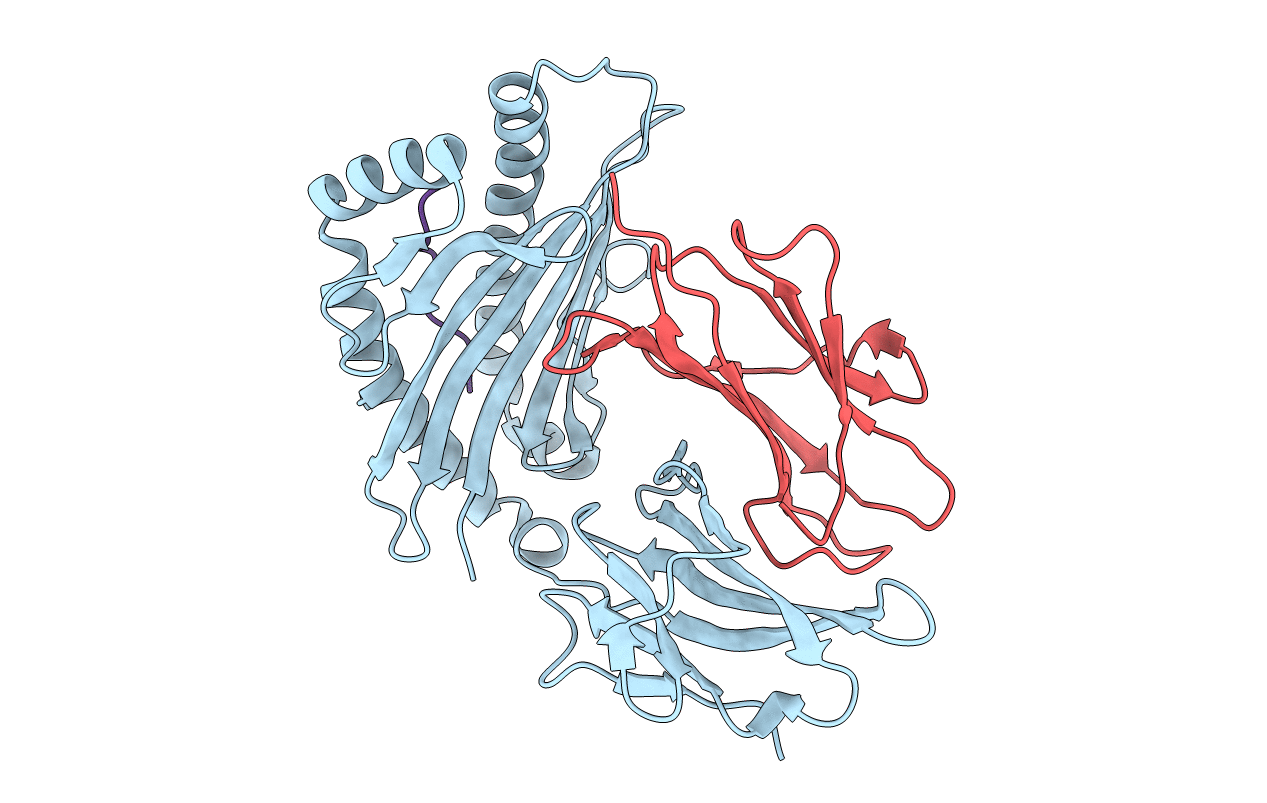 3OXR image