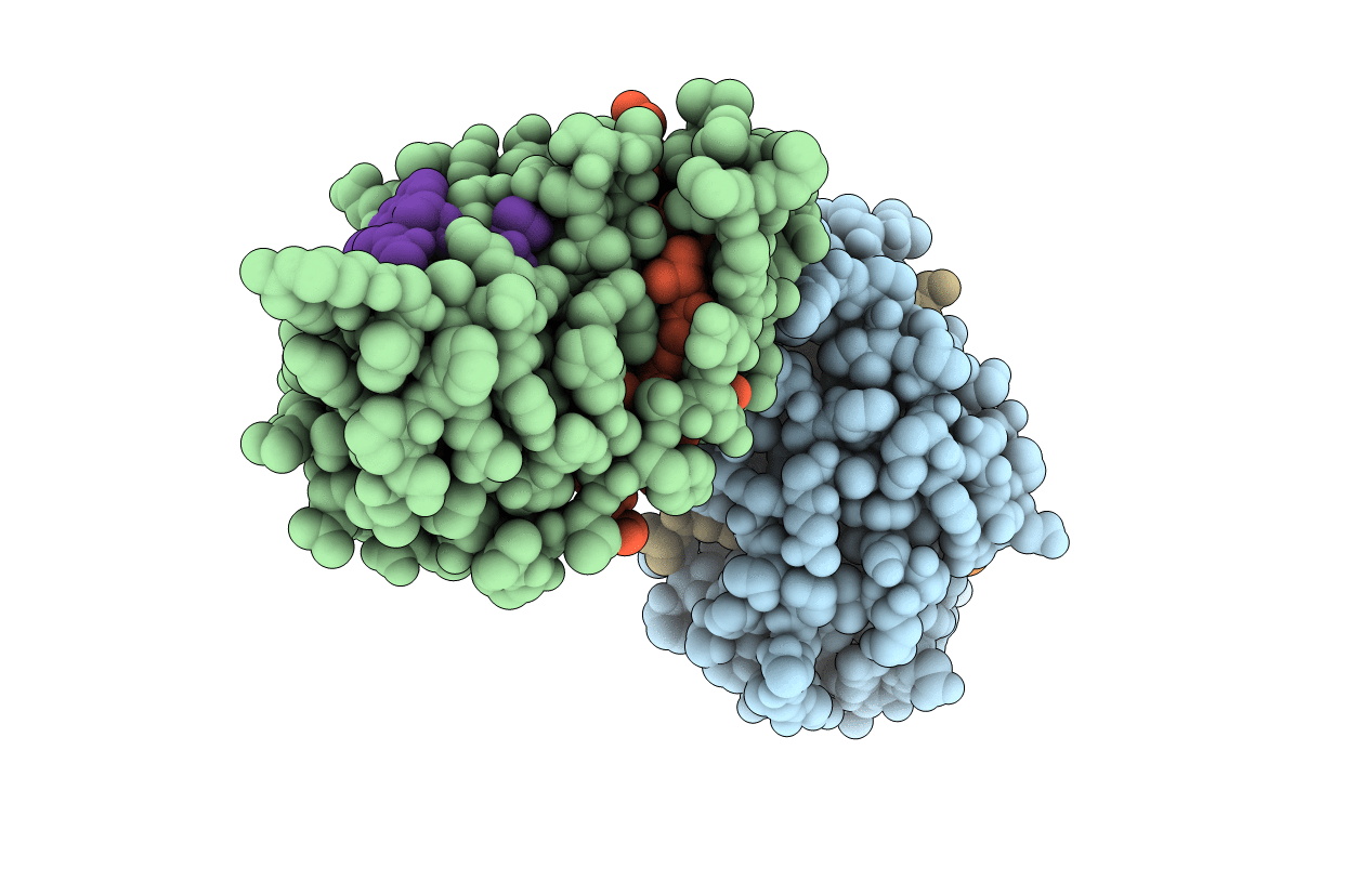 3OYP image