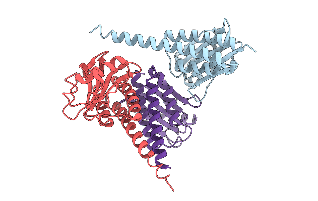3P01 image