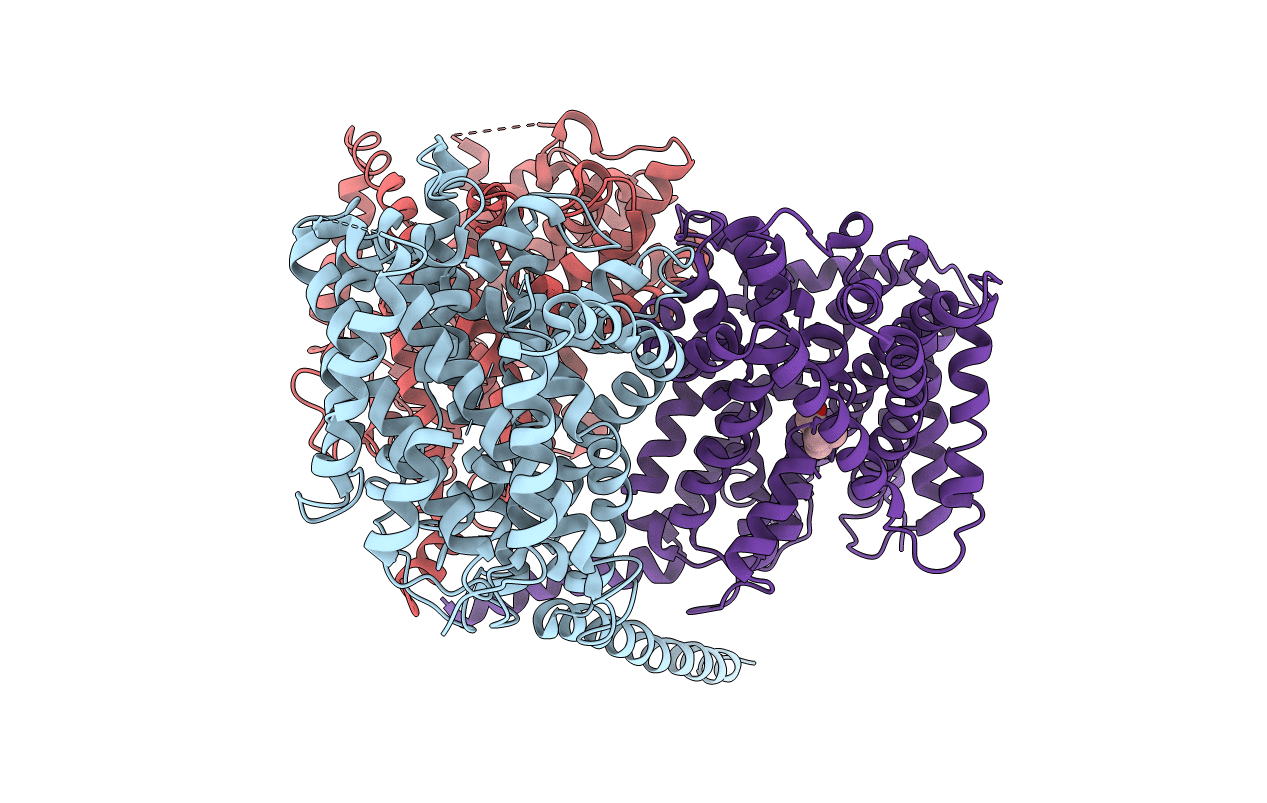 3P03 image