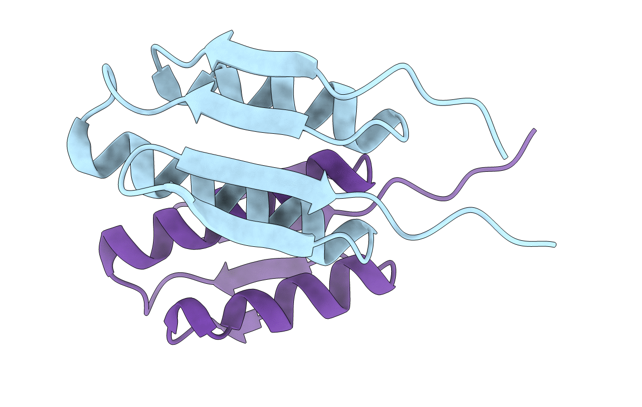 3P04 image